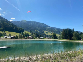 Chaleureux appartement rénové ambiance chalet Praz-Sur-Arly